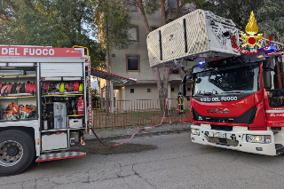 Macerata – Materasso prende fuoco: donna intossicata, pompieri salvano tre gatti